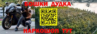 прущие грибы Ливны