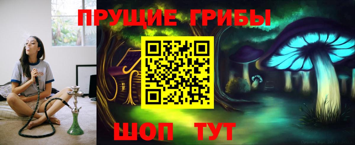 Псилоцибиновые грибы Psilocybine cubensis  Вход с VPN  Среднеуральск 